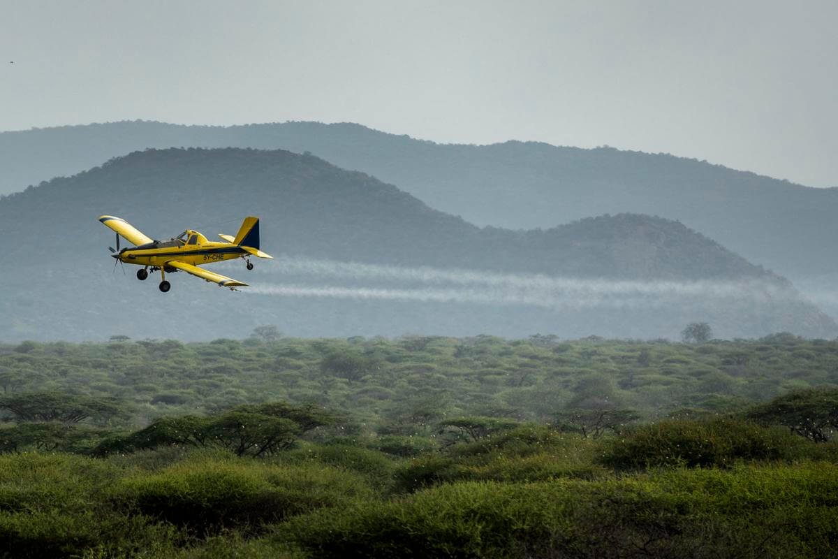 Kenya Launches Chemical-Spraying Operation to Combat Locust Invasion