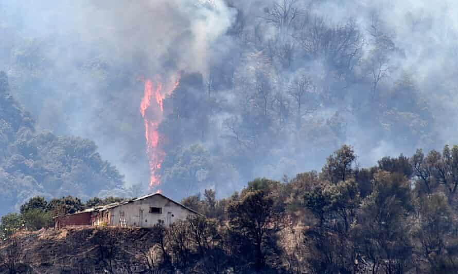 Algeria Accuses Groups Linked to Morocco and Israel of Setting Wildfires