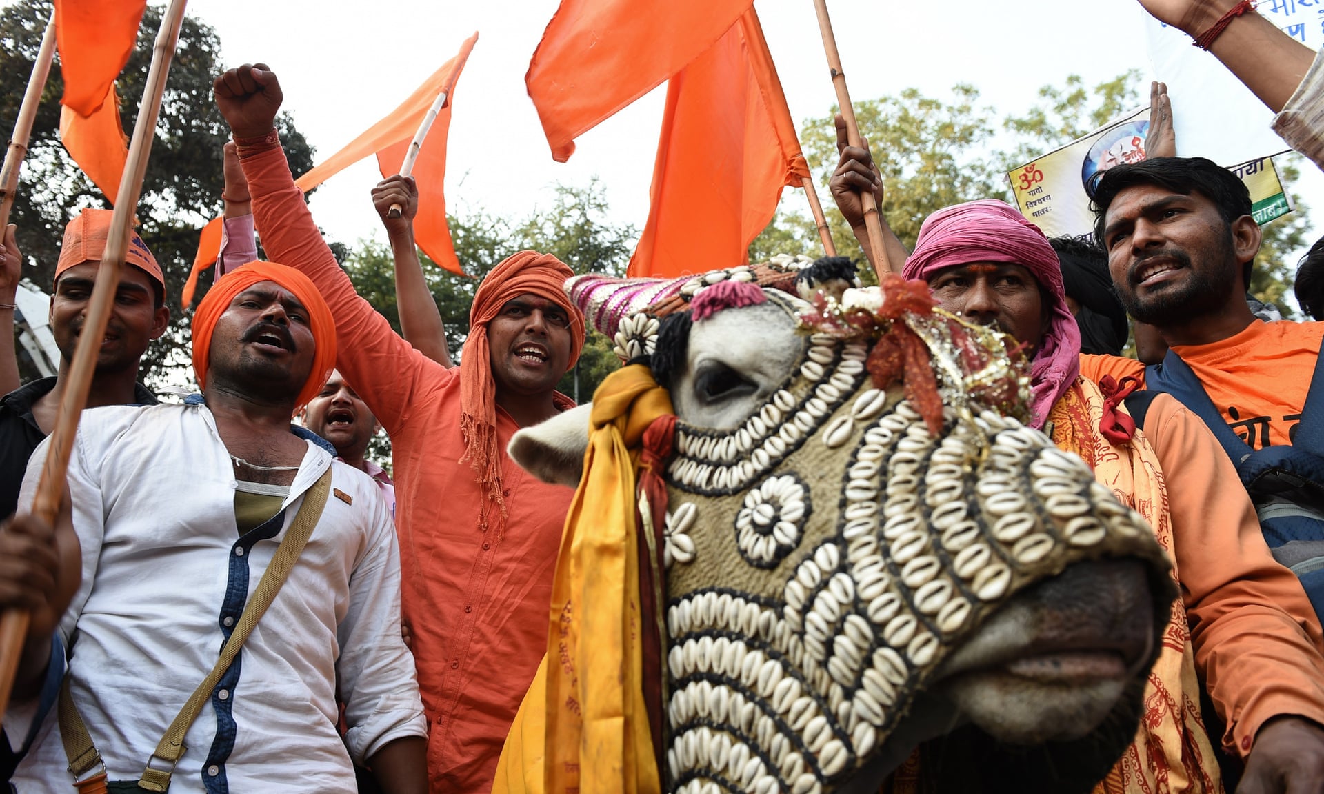 Cow vigilantes seek to punish citizens even on the mere assumption of beef consumption.